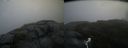 ./images/calvert/buxton2/20180919/buxton220180919_081953M.jpg