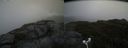 ./images/calvert/buxton2/20180923/buxton220180923_143452M.jpg