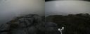 ./images/calvert/buxton2/20180923/buxton220180923_153952M.jpg