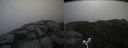./images/calvert/buxton2/20180924/buxton220180924_140452M.jpg