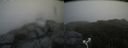 ./images/calvert/buxton2/20180927/buxton220180927_133951M.jpg