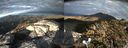./images/calvert/buxton2/20181001/buxton220181001_182451M.jpg
