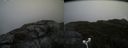 ./images/calvert/buxton2/20181008/buxton220181008_114951M.jpg