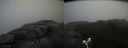 ./images/calvert/buxton2/20181008/buxton220181008_142951M.jpg