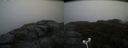 ./images/calvert/buxton2/20181008/buxton220181008_154951M.jpg