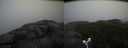 ./images/calvert/buxton2/20181008/buxton220181008_155451M.jpg