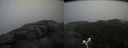 ./images/calvert/buxton2/20181008/buxton220181008_160451M.jpg
