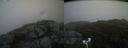 ./images/calvert/buxton2/20181012/buxton220181012_112951M.jpg