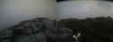 ./images/calvert/buxton2/20181012/buxton220181012_153450M.jpg