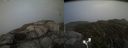 ./images/calvert/buxton2/20181012/buxton220181012_172950M.jpg