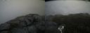./images/calvert/buxton2/20181019/buxton220181019_165450M.jpg