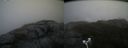 ./images/calvert/buxton2/20181019/buxton220181019_165950M.jpg