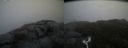 ./images/calvert/buxton2/20181019/buxton220181019_172951M.jpg