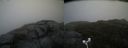 ./images/calvert/buxton2/20181019/buxton220181019_174450M.jpg