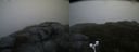 ./images/calvert/buxton2/20181019/buxton220181019_175451M.jpg