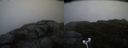 ./images/calvert/buxton2/20181019/buxton220181019_181450M.jpg