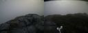 ./images/calvert/buxton2/20181028/buxton220181028_093005M.jpg