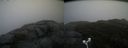 ./images/calvert/buxton2/20181029/buxton220181029_150004M.jpg