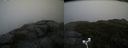 ./images/calvert/buxton2/20181101/buxton220181101_120005M.jpg
