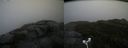 ./images/calvert/buxton2/20181101/buxton220181101_123004M.jpg