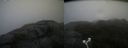 ./images/calvert/buxton2/20181104/buxton220181104_113004M.jpg