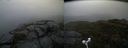 ./images/calvert/buxton2/20181108/buxton220181108_111004M.jpg