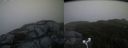 ./images/calvert/buxton2/20181109/buxton220181109_152004M.jpg
