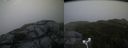 ./images/calvert/buxton2/20181109/buxton220181109_152504M.jpg