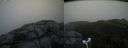 ./images/calvert/buxton2/20181109/buxton220181109_154004M.jpg