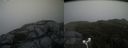 ./images/calvert/buxton2/20181109/buxton220181109_154504M.jpg