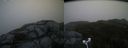 ./images/calvert/buxton2/20181109/buxton220181109_160504M.jpg