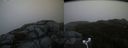 ./images/calvert/buxton2/20181109/buxton220181109_161004M.jpg