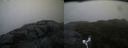 ./images/calvert/buxton2/20181114/buxton220181114_082504M.jpg