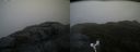 ./images/calvert/buxton2/20181114/buxton220181114_083504M.jpg