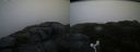 ./images/calvert/buxton2/20181114/buxton220181114_093004M.jpg