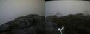 ./images/calvert/buxton2/20181114/buxton220181114_103504M.jpg
