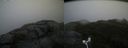./images/calvert/buxton2/20181114/buxton220181114_110004M.jpg