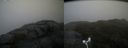 ./images/calvert/buxton2/20181114/buxton220181114_135004M.jpg