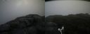 ./images/calvert/buxton2/20181114/buxton220181114_135504M.jpg