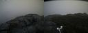 ./images/calvert/buxton2/20181114/buxton220181114_160004M.jpg