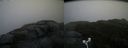 ./images/calvert/buxton2/20181115/buxton220181115_110004M.jpg