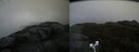 ./images/calvert/buxton2/20181121/buxton220181121_090504M.jpg