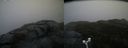 ./images/calvert/buxton2/20181121/buxton220181121_092004M.jpg