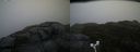 ./images/calvert/buxton2/20181121/buxton220181121_093004M.jpg