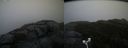 ./images/calvert/buxton2/20181121/buxton220181121_095004M.jpg