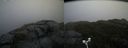 ./images/calvert/buxton2/20181121/buxton220181121_103004M.jpg