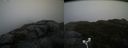 ./images/calvert/buxton2/20181121/buxton220181121_103504M.jpg
