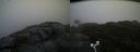./images/calvert/buxton2/20181121/buxton220181121_104504M.jpg