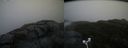 ./images/calvert/buxton2/20181121/buxton220181121_105004M.jpg