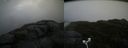./images/calvert/buxton2/20181121/buxton220181121_110504M.jpg